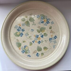 2 Vineyard Dinner Plates